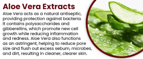 Aloe Vera Extract