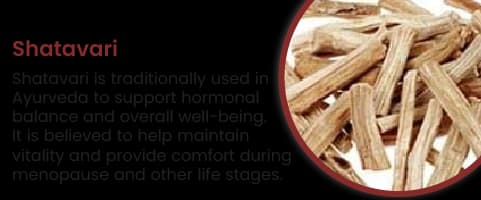 Shatavari