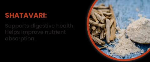 Shatavari